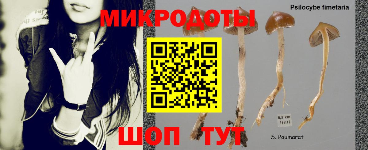 Галлюциногенные грибы MAGIC MUSHROOMS  Вход с VPN  Галлюциногенные грибы Psilocybine cubensis  Нефтеюганск 